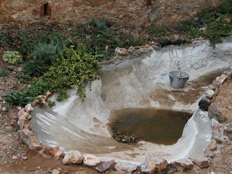 Il Laghetto del Centro di Entomologia - Piombino (LI)